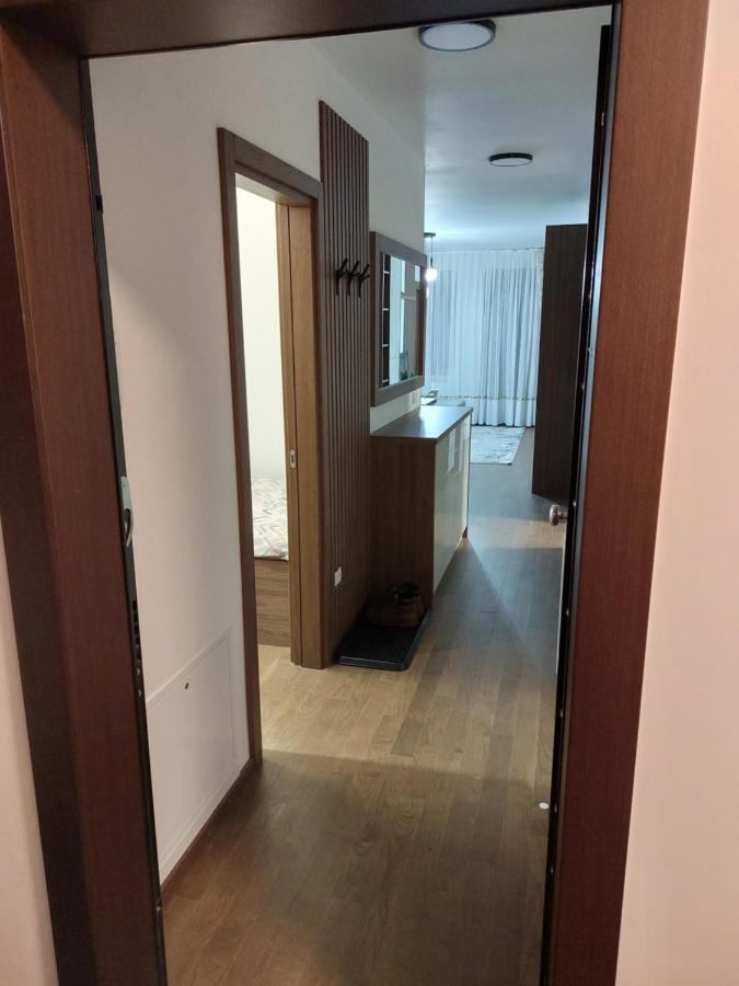 Apartament M 21
